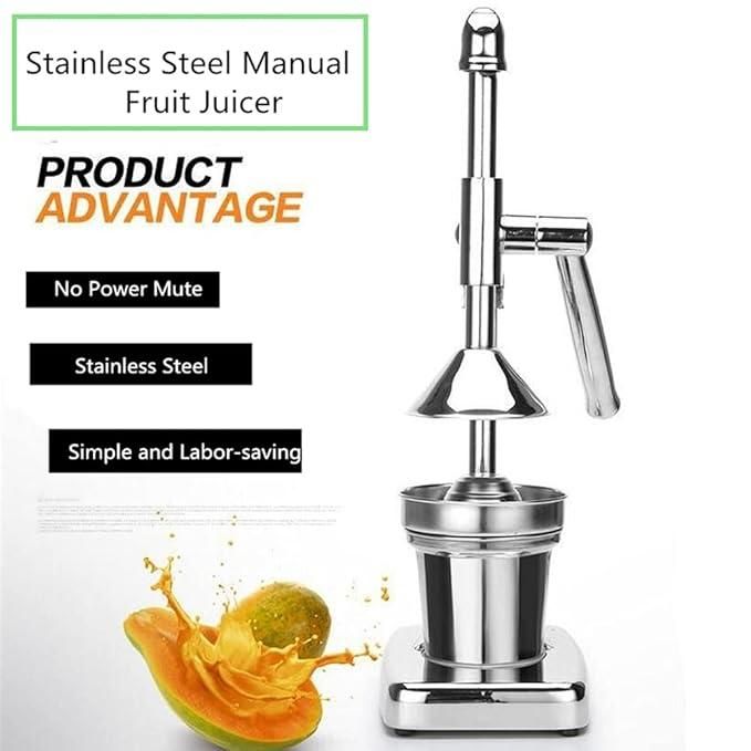 Fruit Juicer